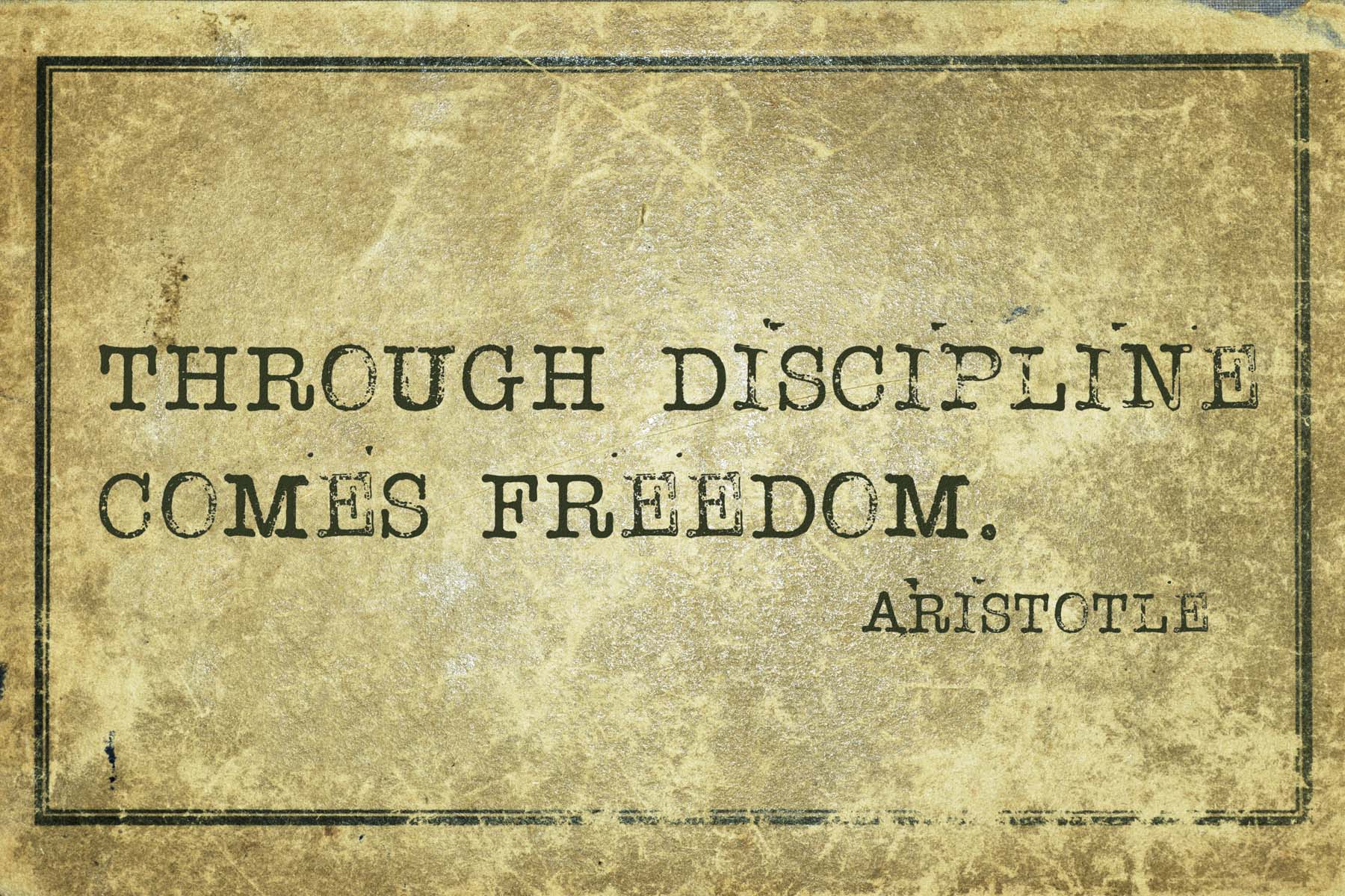 Small Daily Actions Create Success - Through Discipline Comes Freedom - Ancient Greek Philosopher Aristotle Quote Printed On Grunge Vintage Cardboard
